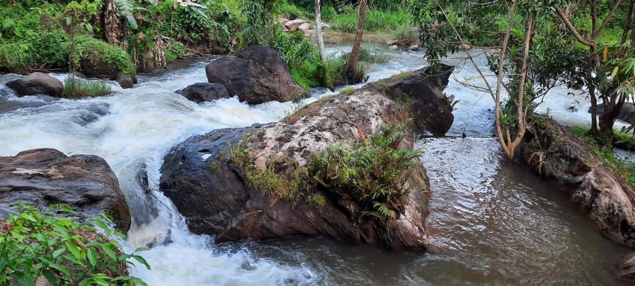 Linn View Home Stay Munnar Ruang foto