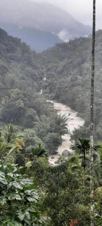 Linn View Home Stay Munnar Bagian luar foto