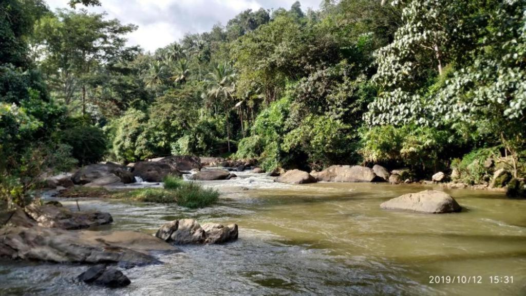 Linn View Home Stay Munnar Bagian luar foto