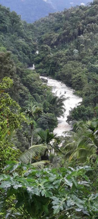 Linn View Home Stay Munnar Bagian luar foto